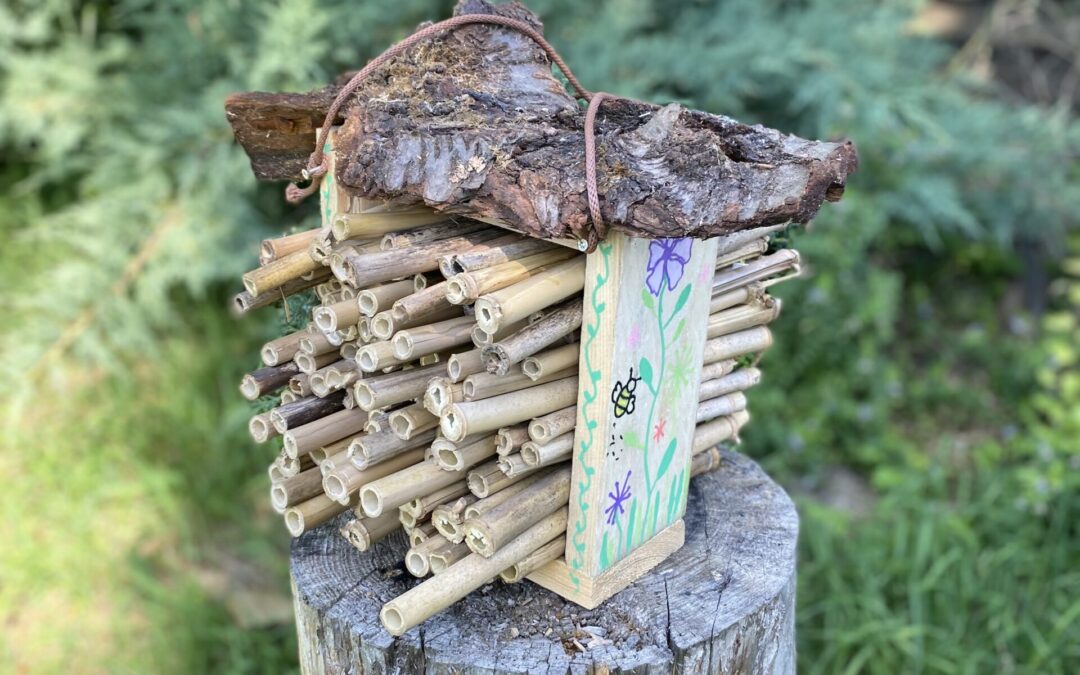Check-In für Bienen & Co. – wie ihr euer eigenes Insektenhotel baut