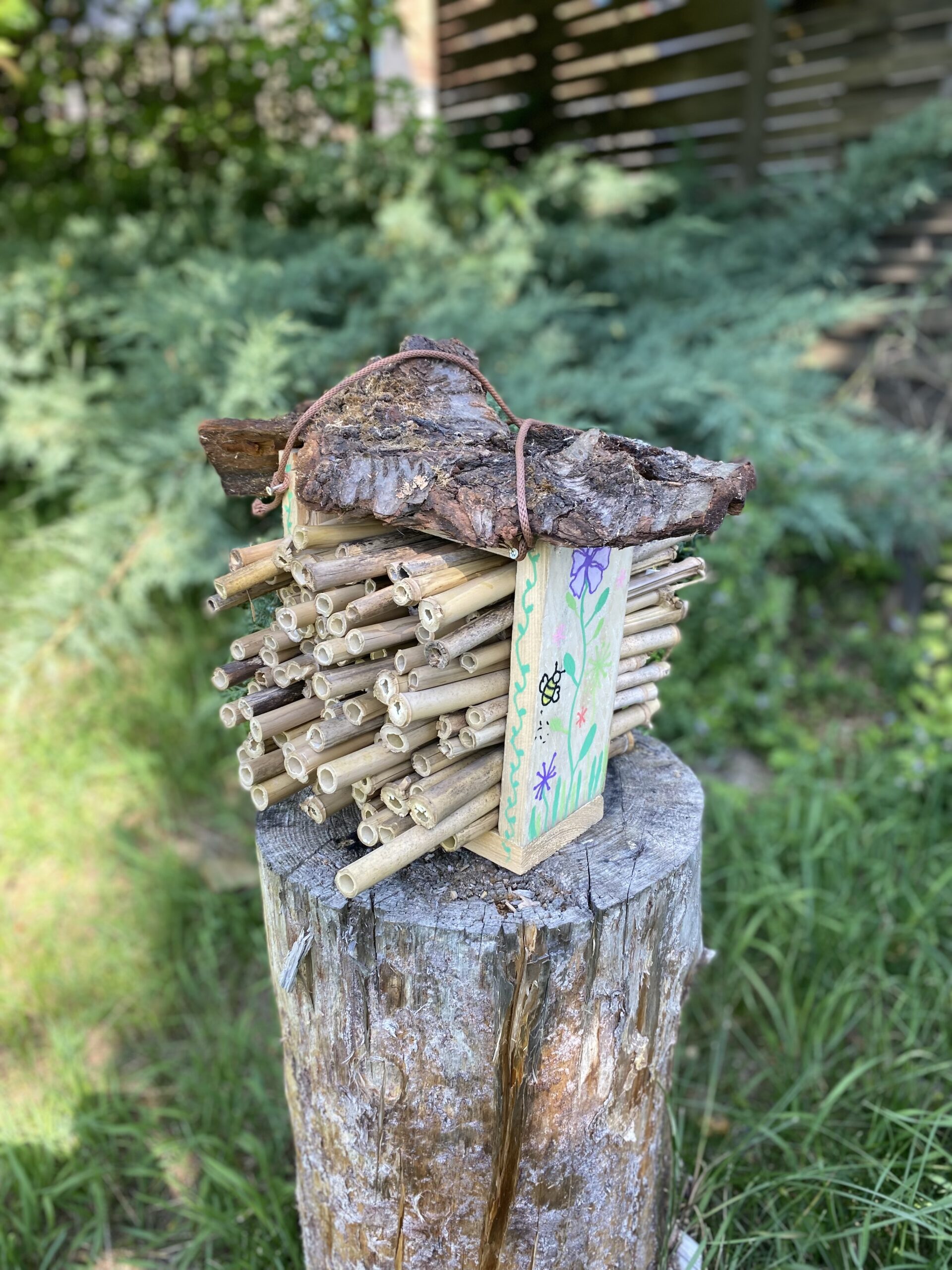 Check-In für Bienen & Co. – wie ihr euer eigenes Insektenhotel baut